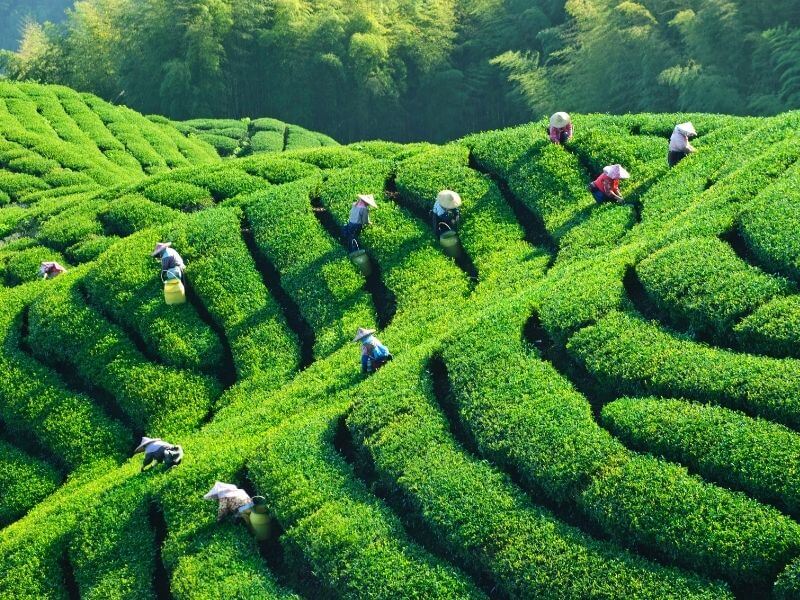 ChangeBrewCo.-TheBrewThatLovesYouBack1-800x600pxweb2